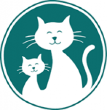 Parceiros da Morelli Contábil